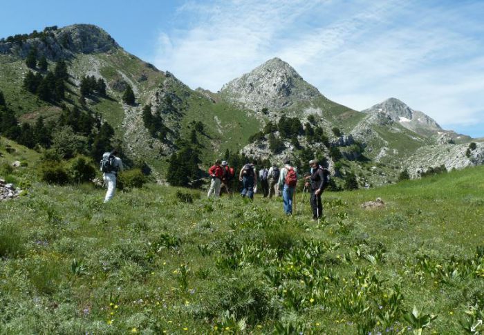 &Sigma;&Alpha;&Omicron;&Omicron; &kappa;&alpha;&iota; &Epsilon;&Omicron;&Sigma; &Pi;ύ&rho;&gamma;&omicron;&upsilon; &sigma;&tau;&omicron;&nu; &Epsilon;&rho;ύ&mu;&alpha;&nu;&theta;&omicron;!
