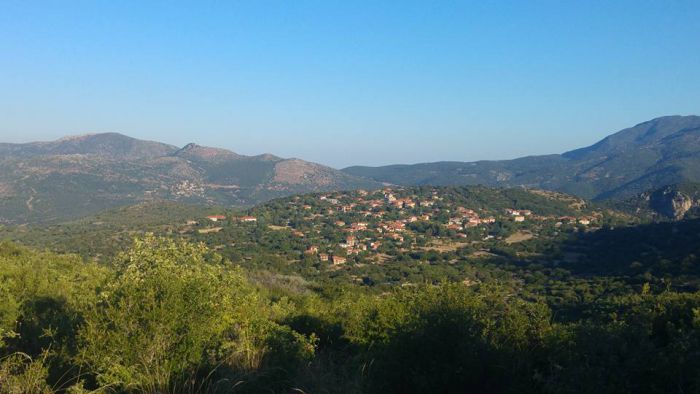 &Nu;έ&alpha; &delta;&iota;&omicron;ί&kappa;&eta;&sigma;&eta; &sigma;&tau;&omicron; &Sigma;ύ&lambda;&lambda;&omicron;&gamma;&omicron; &tau;&omega;&nu; &Alpha;&pi;&alpha;&nu;&tau;&alpha;&chi;&omicron;ύ &epsilon;&xi; &Epsilon;&lambda;&lambda;&eta;&nu;&iota;&kappa;&omicron;ύ &Gamma;&omicron;&rho;&tau;&upsilon;&nu;ί&alpha;&sigmaf;