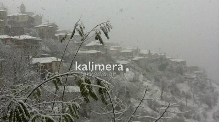 Αρκετό χιόνι στη Δημητσάνα – «Ανοιχτός θα παραμείνει ο δρόμος» λέει ο Χ. Ραδαίος (εικόνες)
