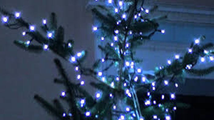 Το δένδρο της Αγάπης από τους Προσκόπους στην Τρίπολη