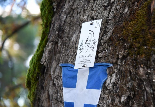 Αρκαδία | Αιωνόβια δένδρα της Ελληνικής Επανάστασης υποψήφια για το Εθνικό Ευρετήριο Άυλης Πολιτιστικής Κληρονομιάς της UNESCO