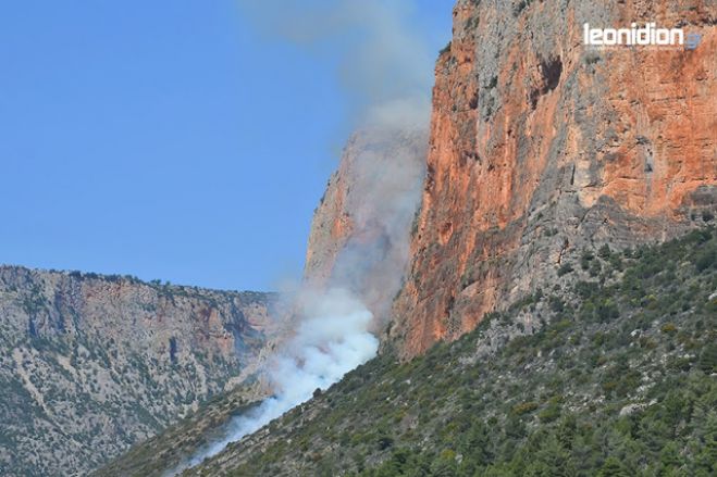 Πυρκαγιά κατασβέστηκε στο Λεωνίδιο (vd)