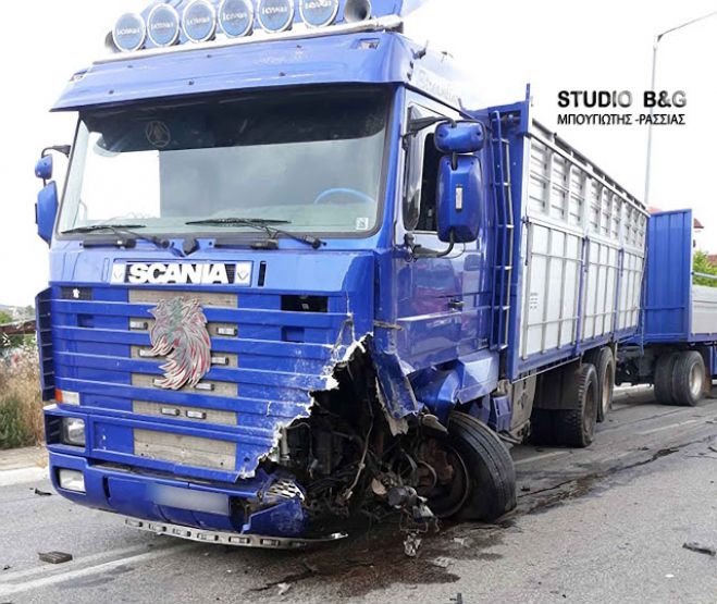 &Sigma;&omicron;&kappa;ά&rho;&omicron;&upsilon;&nu; &omicron;&iota; &epsilon;&iota;&kappa;ό&nu;&epsilon;&sigmaf; &alpha;&pi;ό &tau;&rho;&omicron;&chi;&alpha;ί&omicron; &sigma;&tau;&eta;&nu; &Alpha;&rho;&gamma;&omicron;&lambda;ί&delta;&alpha; (vd)