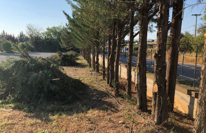 &Delta;&eta;&mu;&omicron;&tau;&iota;&kappa;ό &Kappa;&omicron;&iota;&mu;&eta;&tau;ή&rho;&iota;&omicron; &Tau;&rho;ί&pi;&omicron;&lambda;&eta;&sigmaf; | &Sigma;&upsilon;&nu;&epsilon;&chi;ί&zeta;&omicron;&nu;&tau;&alpha;&iota; &omicron;&iota; &epsilon;&rho;&gamma;&alpha;&sigma;ί&epsilon;&sigmaf; &kappa;&alpha;&theta;&alpha;&rho;&iota;&sigma;&mu;&omicron;ύ (&epsilon;&iota;&kappa;ό&nu;&epsilon;&sigmaf;)