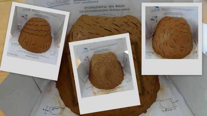 Ο Φορέας Διαχείρισης καλωσορίζει την άνοιξη και τα χελιδόνια με μαθητές στην Κυνουρία!
