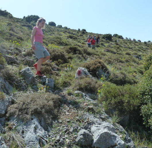 &Epsilon;&kappa;&delta;&rho;&omicron;&mu;ή &sigma;&tau;&alpha; &Kappa;&omicron;&lambda;&omicron;&kappa;&omicron;&tau;&rho;&omega;&nu;έ&iota;&kappa;&alpha; &Mu;&omicron;&nu;&omicron;&pi;ά&tau;&iota;&alpha; &alpha;&pi;ό &tau;&omicron; &Sigma;&Alpha;&Omicron;&Omicron;!