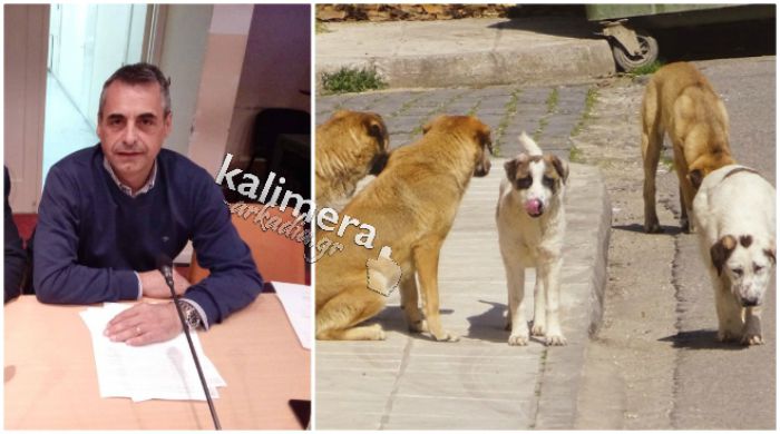 Τζιούμης για αδέσποτα: &quot;Είναι πιο επικίνδυνο να περάσεις την Πετρινού, παρά ζούγκλα στην Κένυα&quot;!