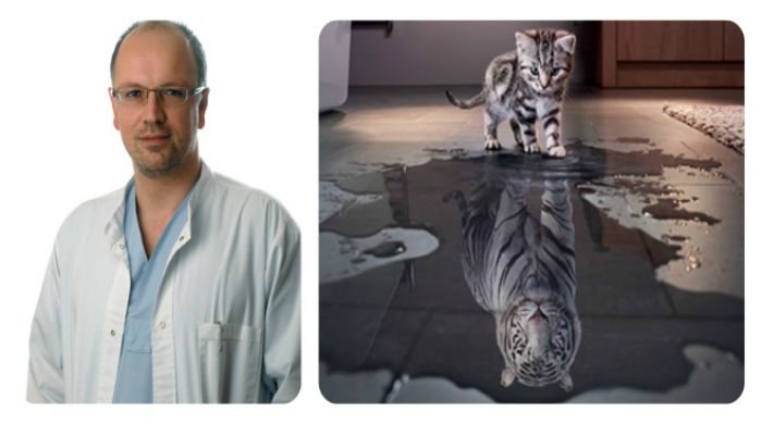 Επικίνδυνη τίγρης ή αθώα γάτα … Καρκίνος ουροδόχου κύστης: όσα πρέπει να γνωρίζουμε…