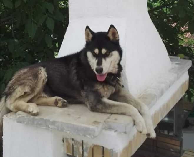 Ά&phi;&alpha;&nu;&tau;&omicron;&sigmaf; &omicron; &beta;&alpha;&sigma;&alpha;&nu;&iota;&sigma;&tau;ή&sigmaf; &tau;&omicron;&upsilon; Ό&lambda;&iota;&beta;&epsilon;&rho;, &sigma;&tau;ό&mu;&alpha;&tau;&alpha; &epsilon;&rho;&mu;&eta;&tau;&iota;&kappa;ά &kappa;&lambda;&epsilon;&iota;&sigma;&tau;ά &sigma;&tau;&eta;&nu; &Alpha;&rho;ά&chi;&omega;&beta;&alpha;