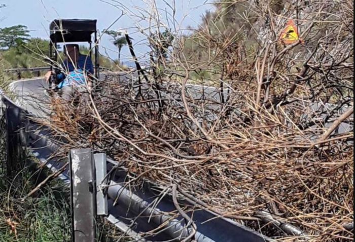 Γορτυνία | Εθελοντές προχώρησαν σε εξωραϊσμό της διαδρομής από Στεμνίτσα προς Δημητσάνα (εικόνες)