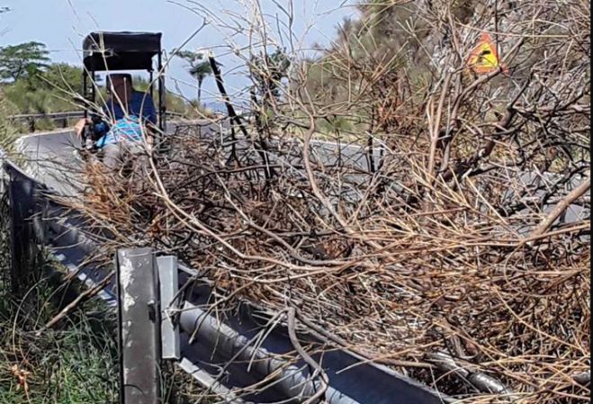 Γορτυνία | Εθελοντές προχώρησαν σε εξωραϊσμό της διαδρομής από Στεμνίτσα προς Δημητσάνα (εικόνες)