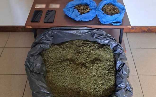 &Pi;ά&nu;&omega; &alpha;&pi;ό 5,5 &kappa;&iota;&lambda;ά &kappa;ά&nu;&nu;&alpha;&beta;&eta;&sigmaf; &kappa;&alpha;&tau;&alpha;&sigma;&chi;έ&theta;&eta;&kappa;&alpha;&nu; &sigma;&tau;&eta; &Mu;&epsilon;&sigma;&sigma;&eta;&nu;ί&alpha; (vd)