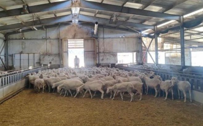 Συνεργεία απολύμανσης για την ευλογιά σε Λιβαδάκι Γορτυνίας και Δάρα