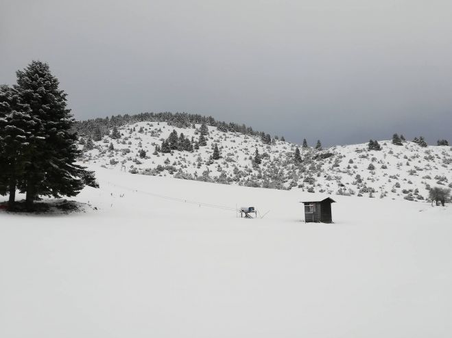 &Phi;&rho;έ&sigma;&kappa;&omicron; &chi;&iota;ό&nu;&iota; &sigma;&tau;&omicron; &Chi;&iota;&omicron;&nu;&omicron;&delta;&rho;&omicron;&mu;&iota;&kappa;ό &Kappa;έ&nu;&tau;&rho;&omicron; &Mu;&alpha;&iota;&nu;ά&lambda;&omicron;&upsilon;! (&epsilon;&iota;&kappa;ό&nu;&epsilon;&sigmaf;)