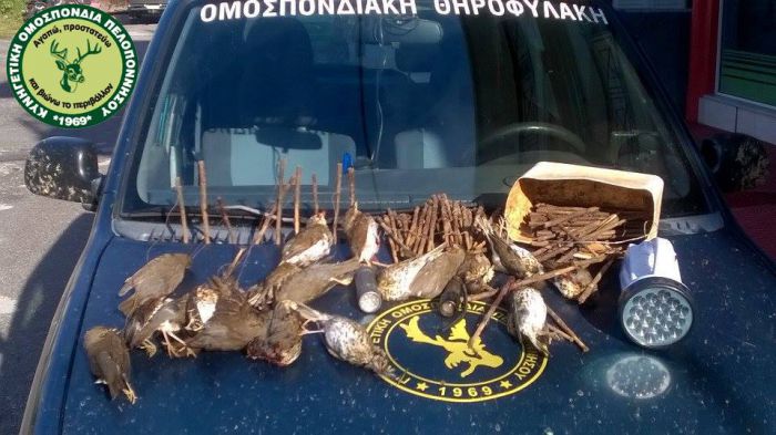 Κρούσμα με παράνομο κυνήγι στη Μεσσηνία
