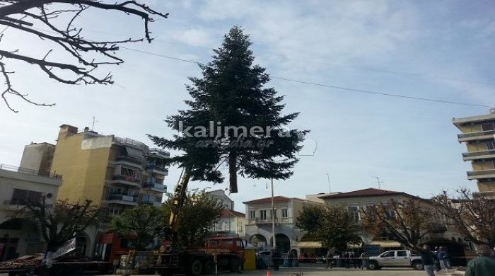 «Ιπτάμενο» δέντρο ... προσγειώθηκε στην Τρίπολη! (vd)