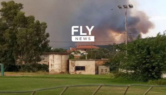 Φωτιά στη Λακωνία | Μεγάλο μέτωπο σε Λυκοβουνό – Δαφνί