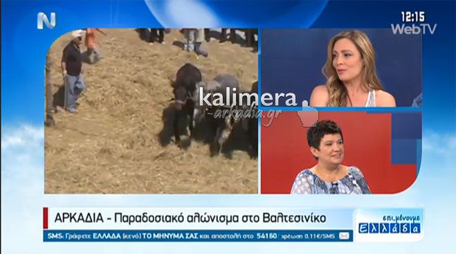 «Άρωμα Γορτυνίας» στην εκπομπή «Επι_Μένουμε Ελλάδα» (εικόνες – βίντεο)!