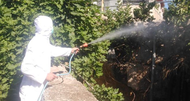 &Nu;έ&omicron;&iota; &psi;&epsilon;&kappa;&alpha;&sigma;&mu;&omicron;ί &gamma;&iota;&alpha; &tau;&alpha; &kappa;&omicron;&upsilon;&nu;&omicron;ύ&pi;&iota;&alpha; &sigma;&epsilon; &pi;&epsilon;&rho;&iota;&omicron;&chi;έ&sigmaf; &tau;&eta;&sigmaf; &Beta;ό&rho;&epsilon;&iota;&alpha;&sigmaf; &Kappa;&upsilon;&nu;&omicron;&upsilon;&rho;ί&alpha;&sigmaf;