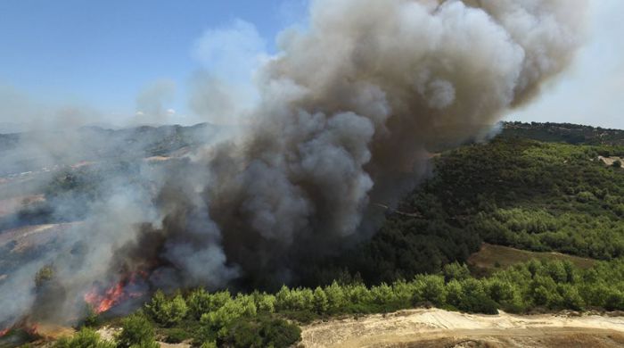 Ηλεία | Τρεις οι ανεξέλεγκτες πυρκαγιές (vd)