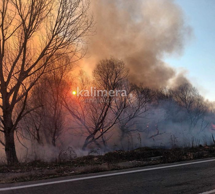 Σε ύφεση η φωτιά που ξέσπασε στην Παναγίτσα (εικόνες)