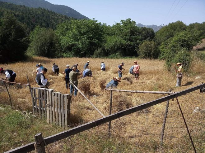 &Kappa;&alpha;&lambda;&omicron;&kappa;&alpha;ί&rho;&iota; &mu;&epsilon; &alpha;&lambda;ώ&nu;&iota;&sigma;&mu;&alpha;, &gamma;&iota;&omicron;&rho;&tau;ή &tau;&sigma;&omicron;&pi;ά&nu;&eta; &kappa;&alpha;&iota; &gamma;&lambda;έ&nu;&tau;&iota;&alpha; &sigma;&tau;&omicron; &Delta;&upsilon;&rho;&rho;ά&chi;&iota; &Mu;&epsilon;&gamma;&alpha;&lambda;ό&pi;&omicron;&lambda;&eta;&sigmaf;!