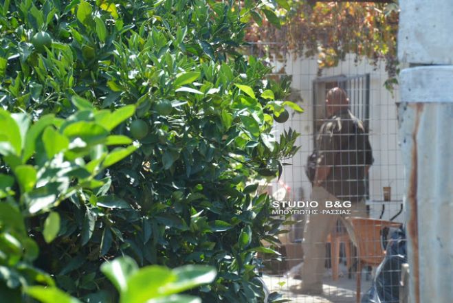 &Nu;&epsilon;&kappa;&rho;ό&sigmaf; &kappa;&alpha;&iota; &delta;&epsilon;&mu;έ&nu;&omicron;&sigmaf; &mu;&epsilon; &mu;&omicron;&nu;&omega;&tau;&iota;&kappa;ή &tau;&alpha;&iota;&nu;ί&alpha; &beta;&rho;έ&theta;&eta;&kappa;&epsilon; ά&nu;&delta;&rho;&alpha;&sigmaf; &sigma;&epsilon; &chi;&omega;&rho;&iota;ό &tau;&eta;&sigmaf; &Alpha;&rho;&gamma;&omicron;&lambda;ί&delta;&alpha;&sigmaf; (&epsilon;&iota;&kappa;ό&nu;&epsilon;&sigmaf;)