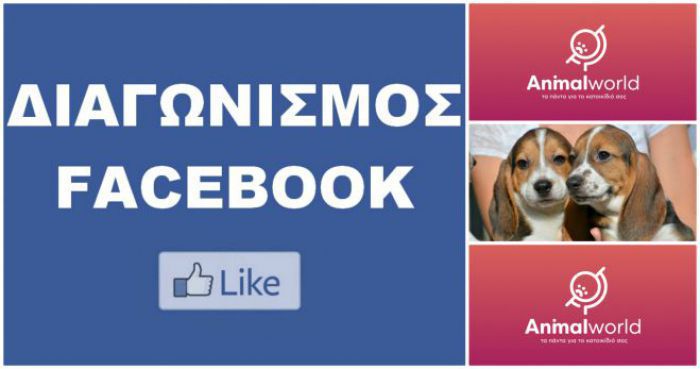 Λήγει αύριο ο διαγωνισμός - Κάνε like και κέρδισε τροφή σκύλου ... για 2 μήνες!