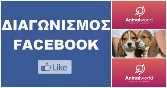 Λήγει αύριο ο διαγωνισμός - Κάνε like και κέρδισε τροφή σκύλου ... για 2 μήνες!