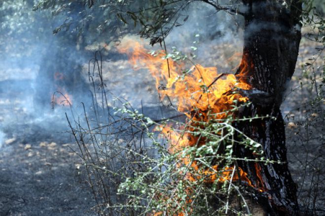 Γορτυνία | Πήγε να κάψει ξερά χόρτα και έχασε τη ζωή του