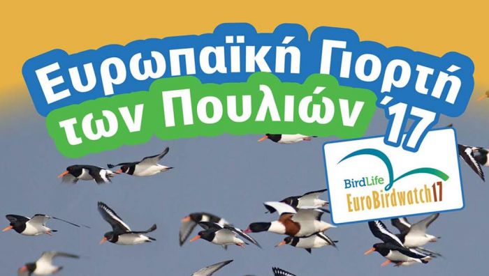 Η Ευρωπαϊκή Γιορτή Πουλιών 2017 στον υγρότοπο του Μουστού!