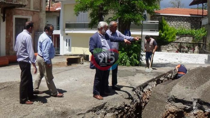 &Sigma;&tau;&eta; &Nu;&epsilon;&sigma;&tau;ά&nu;&eta; &omicron; &Pi;&alpha;&upsilon;&lambda;ή&sigmaf; - &Sigma;&eta;&mu;&alpha;&nu;&tau;&iota;&kappa;ά έ&rho;&gamma;&alpha; &alpha;&pi;ό &Delta;ή&mu;&omicron; &Tau;&rho;ί&pi;&omicron;&lambda;&eta;&sigmaf; &kappa;&alpha;&iota; &Delta;&Epsilon;&Upsilon;&Alpha;&Tau; (vd)