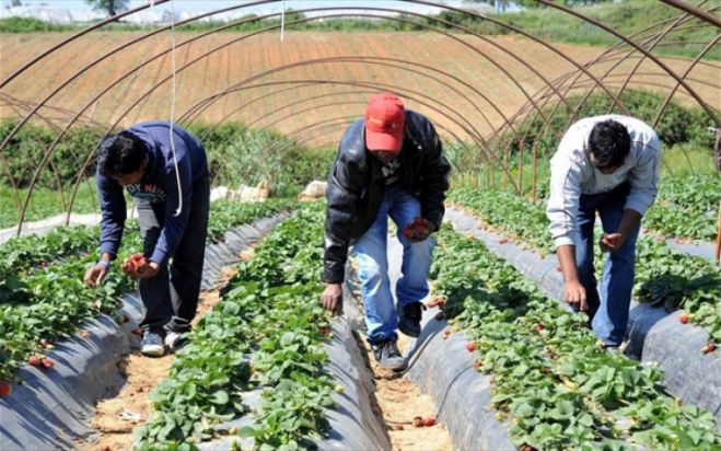 &Pi;&alpha;&rho;ά&tau;&alpha;&sigma;&eta; &sigma;&tau;&eta;&nu; &pi;&rho;&omicron;&theta;&epsilon;&sigma;&mu;ί&alpha; &gamma;&iota;&alpha; &upsilon;&pi;&omicron;&beta;&omicron;&lambda;ή &alpha;&iota;&tau;&eta;&mu;ά&tau;&omega;&nu; &gamma;&iota;&alpha; &kappa;&alpha;&tau;ά &pi;&alpha;&rho;έ&kappa;&kappa;&lambda;&iota;&sigma;&eta; &mu;&epsilon;&tau;ά&kappa;&lambda;&eta;&sigma;&eta; &epsilon;&rho;&gamma;&alpha;&tau;ώ&nu; &gamma;&eta;&sigmaf;