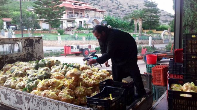 Χίλια κιλά ροδάκινα στο &quot;Καλάθι του Πτωχού Αδελφού&quot; (εικόνες)