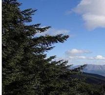 &Kappa;&alpha;&lambda;&omicron;&kappa;&alpha;&iota;&rho;&iota;&nu;έ&sigmaf; &epsilon;&kappa;&delta;&eta;&lambda;ώ&sigma;&epsilon;&iota;&sigmaf; &sigma;&tau;&eta; &Sigma;ύ&rho;&nu;&alpha; &Alpha;&rho;&kappa;&alpha;&delta;ί&alpha;&sigmaf;!