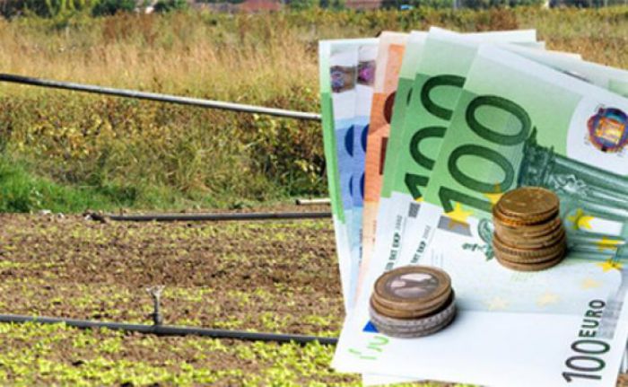 Λεβίδι | Παραχωρήθηκε χώρος για την υποβολή της Ενιαίας Αίτησης Ενίσχυσης 2018