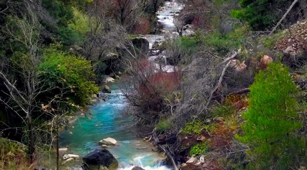 &Delta;&iota;&epsilon;&theta;&nu;έ&sigmaf; &nu;&tau;&omicron;&kappa;&iota;&mu;&alpha;&nu;&tau;έ&rho; &theta;&alpha; &gamma;&upsilon;&rho;&iota;&sigma;&tau;&epsilon;ί &sigma;&tau;&eta;&nu; &Alpha;&rho;&kappa;&alpha;&delta;ί&alpha;!