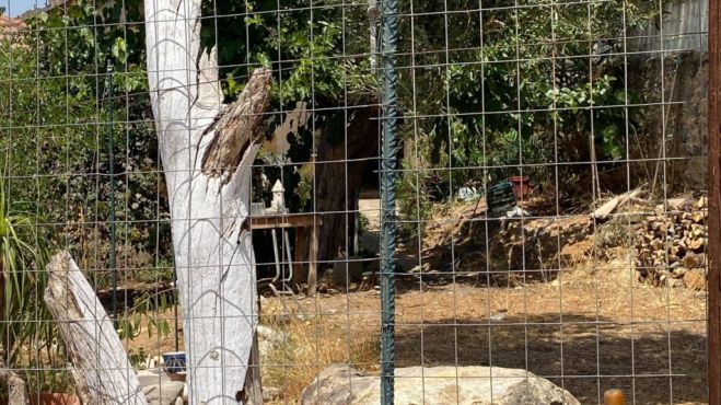 Συνελήφθη ο 52χρονος στην Μεσσηνία για ανθρωποκτονία εις βάρος της μητέρας του