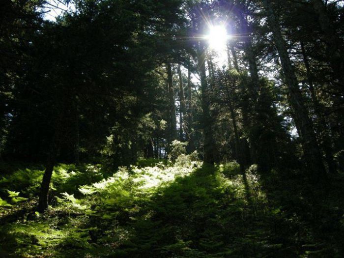 &Nu;έ&omicron; &sigma;&epsilon;&mu;&iota;&nu;ά&rho;&iota;&omicron; &alpha;&pi;ό &tau;&omicron; &Kappa;έ&nu;&tau;&rho;&omicron; &Pi;&epsilon;&rho;&iota;&beta;&alpha;&lambda;&lambda;&omicron;&nu;&tau;&iota;&kappa;ή&sigmaf; &Epsilon;&kappa;&pi;&alpha;ί&delta;&epsilon;&upsilon;&sigma;&eta;&sigmaf; &Kappa;&alpha;&sigma;&tau;&rho;ί&omicron;&upsilon;