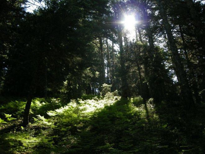 &Nu;έ&omicron; &sigma;&epsilon;&mu;&iota;&nu;ά&rho;&iota;&omicron; &alpha;&pi;ό &tau;&omicron; &Kappa;έ&nu;&tau;&rho;&omicron; &Pi;&epsilon;&rho;&iota;&beta;&alpha;&lambda;&lambda;&omicron;&nu;&tau;&iota;&kappa;ή&sigmaf; &Epsilon;&kappa;&pi;&alpha;ί&delta;&epsilon;&upsilon;&sigma;&eta;&sigmaf; &Kappa;&alpha;&sigma;&tau;&rho;ί&omicron;&upsilon;