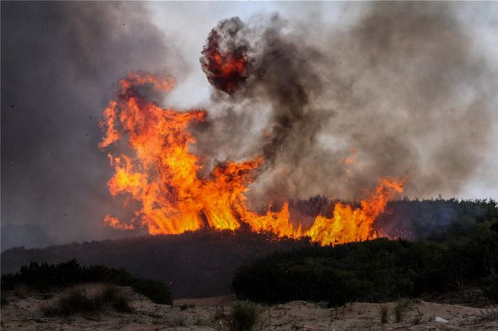 Δάσος Στροφυλιάς | Έγινε καμένη γη ... από «Διαμάντι της Πελοποννήσου»