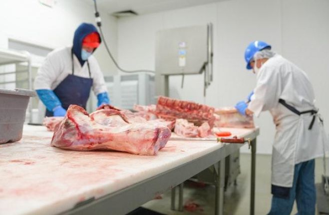 &Tau;&alpha; &mu;&upsilon;&sigma;&tau;&iota;&kappa;ά &tau;&eta;&sigmaf; &epsilon;&pi;&iota;&lambda;&omicron;&gamma;ή&sigmaf; &kappa;&rho;έ&alpha;&tau;&omicron;&sigmaf;