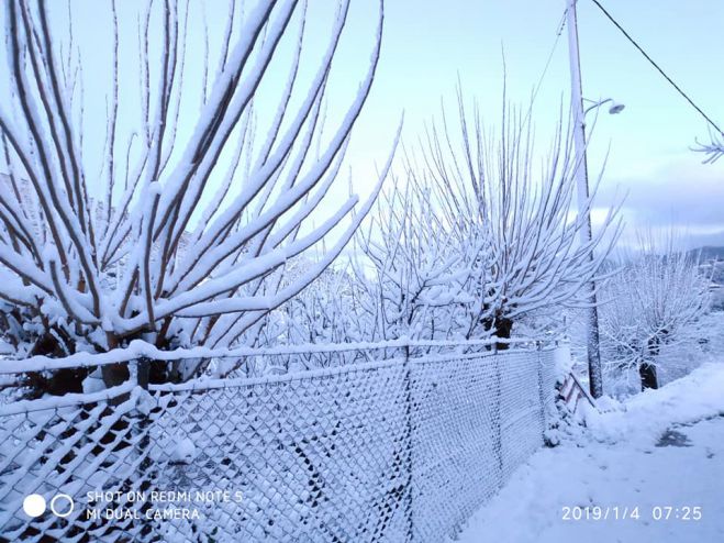 Όλα λευκά στο Δυρράχι Μεγαλόπολης! (εικόνες)