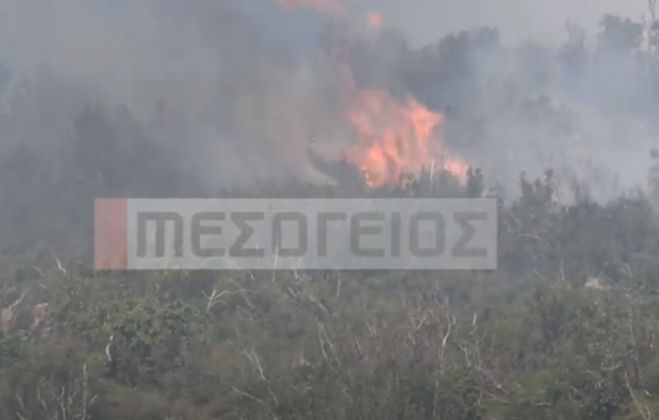 Μεγάλη φωτιά στον Άκοβο Αρκαδίας (vd)