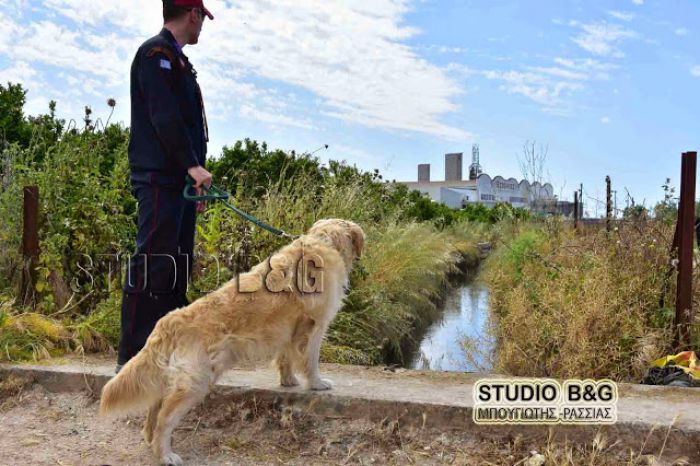 Έ&rho;&epsilon;&upsilon;&nu;&epsilon;&sigmaf; &alpha;&pi;ό &tau;&eta;&nu; &Epsilon;&Mu;&Alpha;&Kappa; &sigma;&tau;&omicron; Ά&rho;&gamma;&omicron;&sigmaf; &gamma;&iota;&alpha; &tau;&omicron;&nu; 40&chi;&rho;&omicron;&nu;&omicron; &pi;&omicron;&upsilon; έ&chi;&epsilon;&iota; &epsilon;&xi;&alpha;&phi;&alpha;&nu;&iota;&sigma;&tau;&epsilon;ί (vd)