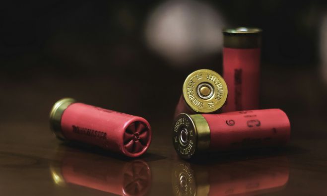 Έρευνα της Metron Analysis | 1 στους 4 Έλληνες θέλει όπλο στο σπίτι