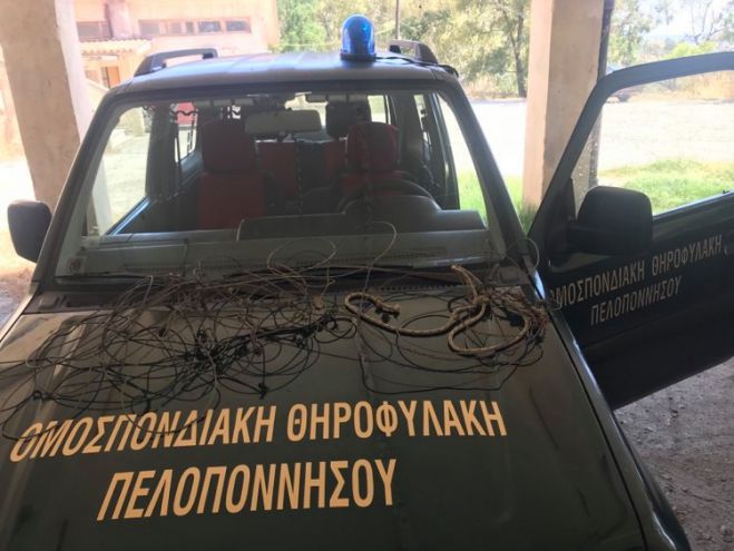 &Sigma;ύ&lambda;&lambda;&eta;&psi;&eta; &gamma;&iota;&alpha; &pi;&alpha;&rho;ά&nu;&omicron;&mu;&omicron; &kappa;&upsilon;&nu;ή&gamma;&iota; &sigma;&tau;&eta; &gamma;&epsilon;&iota;&tau;&omicron;&nu;&iota;&kappa;ή &Lambda;&alpha;&kappa;&omega;&nu;ί&alpha;