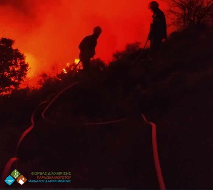 "&Epsilon;&upsilon;&tau;ύ&chi;&eta;&mu;&alpha; ό&tau;&iota; &eta; &phi;&omega;&tau;&iota;ά &delta;&epsilon;&nu; &epsilon;&pi;&epsilon;&kappa;&tau;ά&theta;&eta;&kappa;&epsilon; &pi;&rho;&omicron;&sigmaf; &tau;&omicron;&nu; &omicron;&iota;&kappa;&iota;&sigma;&mu;ό &kappa;&alpha;&iota; &tau;&omicron; &delta;ά&sigma;&omicron;&sigmaf; &sigma;&tau;&eta;&nu; &pi;&epsilon;&rho;&iota;&omicron;&chi;ή &tau;&eta;&sigmaf; &Mu;&alpha;&lambda;&epsilon;&beta;ή&sigmaf;"