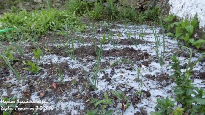 Χειμωνιάτικο σκηνικό με ομίχλη και χαλάζι στη Γορτυνία!