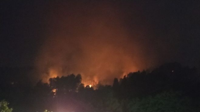 Το συγκλονιστικό βίντεο με την πύρινη λαίλαπα τη νύχτα στη Γορτυνία (vd)